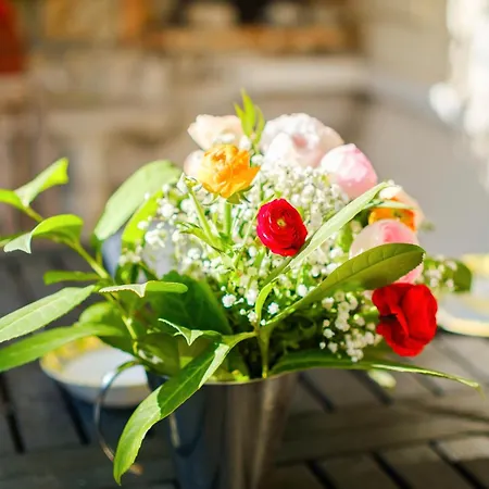 Eden Appartement Menton